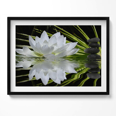 Kép keretben Fehér vízililiom kövek vízfelszín
