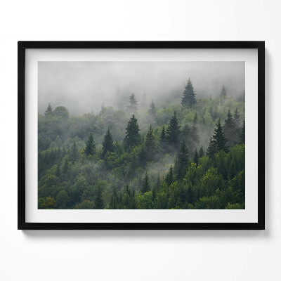 Kép keretben Zöld erdő ködben