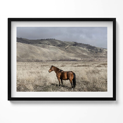 Kép keretben Ló a dombos tájban