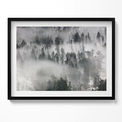 Kép keretben Ködös erdő táj