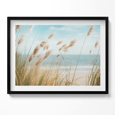 Kép keretben Tengerparti nádas világos ég
