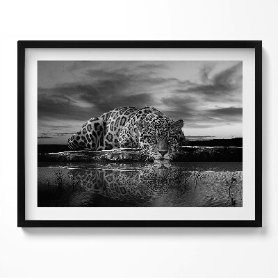 Kép keretben Fekete-fehér leopárd tükörképe