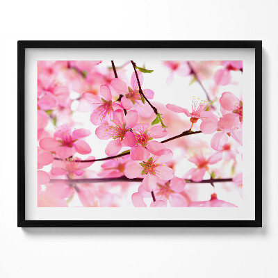 Kép keretben Rózsaszín virágok ága