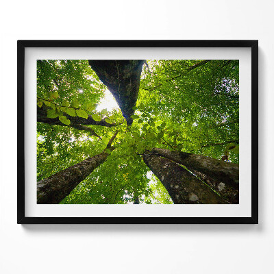 Kép keretben Zöld lombok fák természet