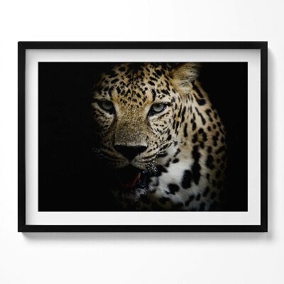 Kép keretben Leopárd arca sötét háttérrel
