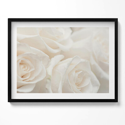 Kép keretben Fehér rózsák közelről