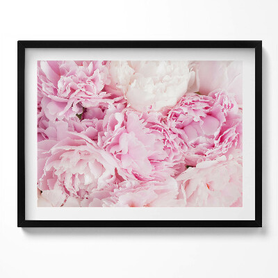 Kép keretben Rózsaszínű pézsmaboglárkák virágai