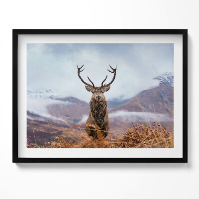 Kép keretben Szarvas a hegyekben