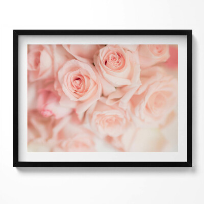 Kép keretben Rózsák halvány rózsaszínben