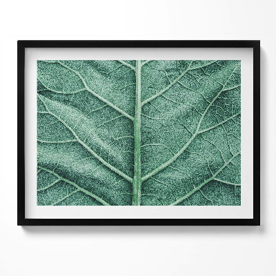 Kép keretben Növényi levél részlete