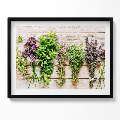 Kép keretben Friss fűszernövények és virágok