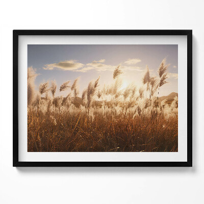 Kép keretben Naplemente és nádas
