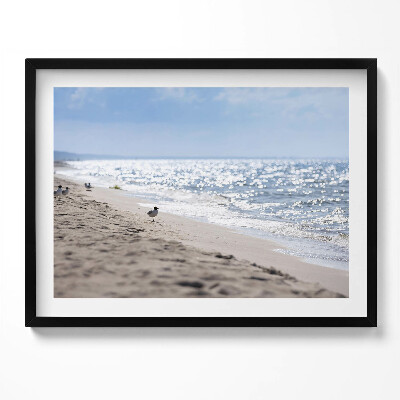 Kép keretben Tengerparti táj madár a homokban