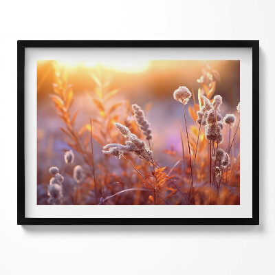 Kép keretben Puha fűszálak napfényben