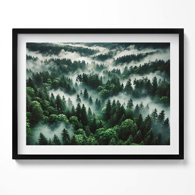Kép keretben Zöld erdő ködben