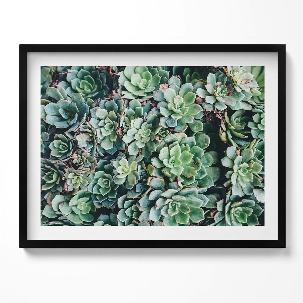 Kép keretben Zöld zamatos növények