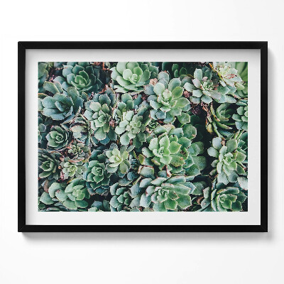 Kép keretben Zöld zamatos növények