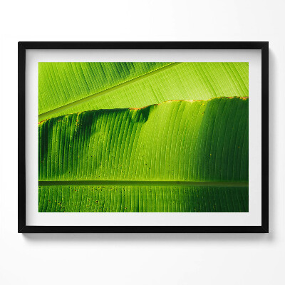 Kép keretben Zöld banánlevél részlete