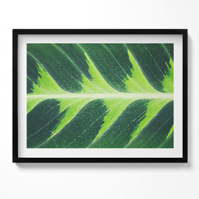 Kép keretben Zöld levél részlete