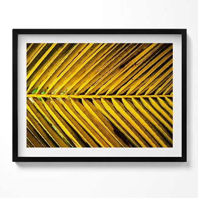 Kép keretben Sárga pálmalevél mintázata