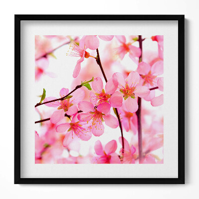 Keretezett falikép Rózsaszín virágok ága