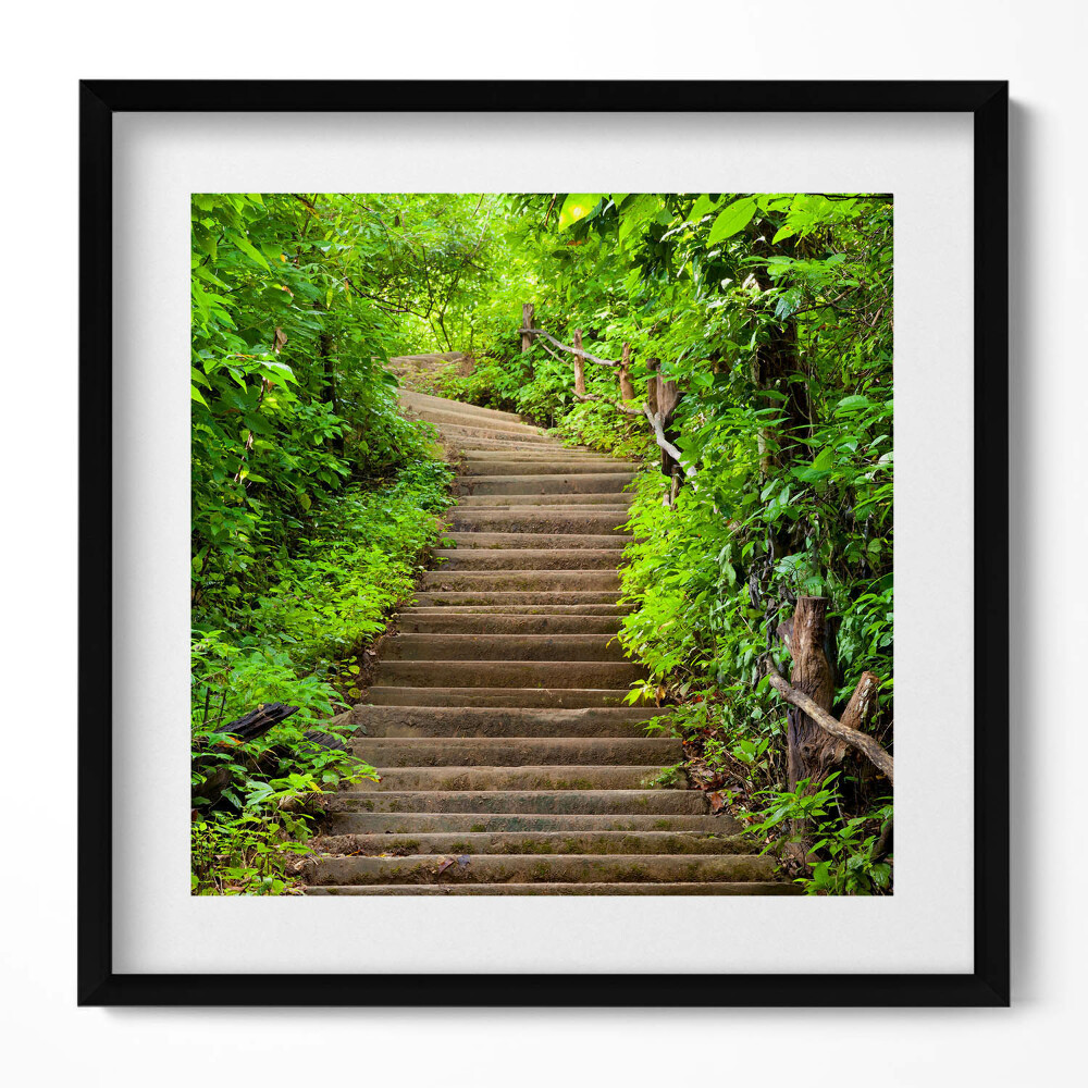 Keretezett falikép Zöldellő lépcsősor természetben