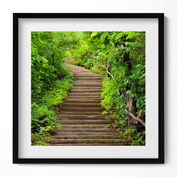 Keretezett falikép Zöldellő lépcsősor természetben