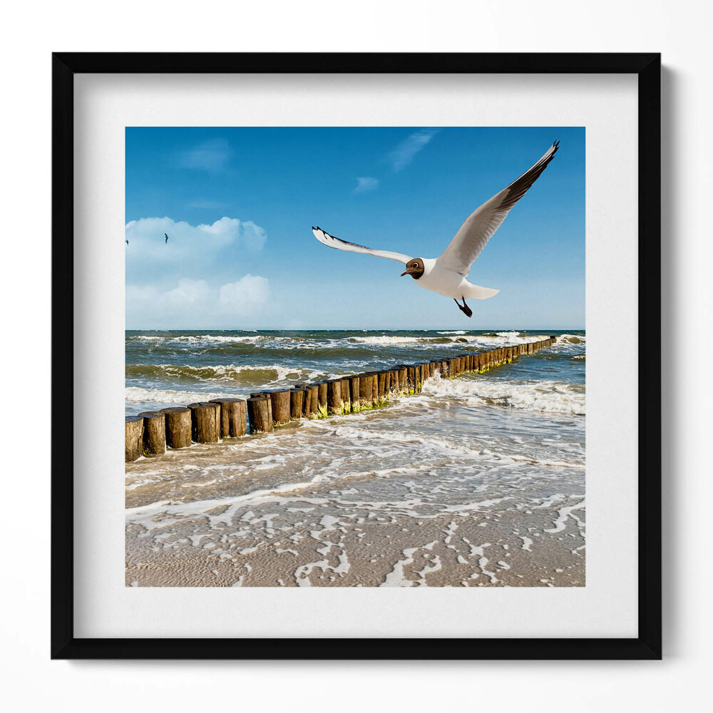 Keretezett falikép Tengerparti táj madarak hullámok