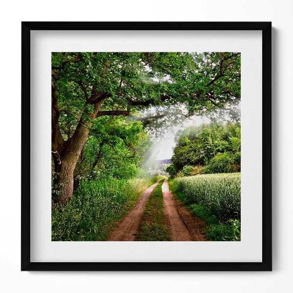 Keretezett falikép Zöld dombos táj keskeny ösvény