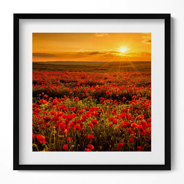 Keretezett falikép Vörös pipacsmező naplementében