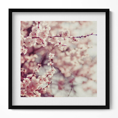 Keretezett falikép Virágzó cseresznyeágak