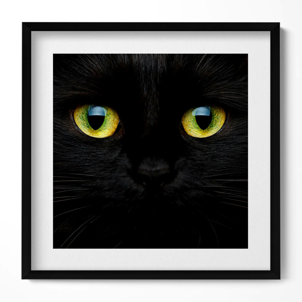 Keretezett falikép Fekete macska arca zöld szemekkel