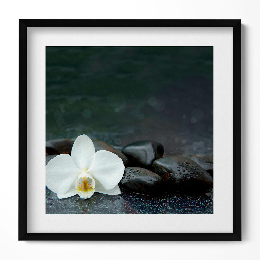 Keretezett falikép Fehér virág és sima kövek
