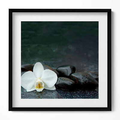 Keretezett falikép Fehér virág és sima kövek