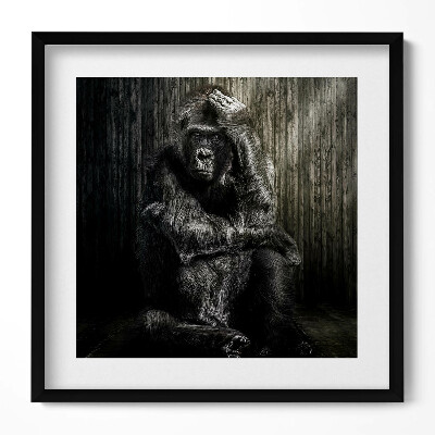 Keretezett falikép Gorilla gondolkodó pózban