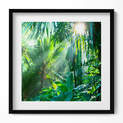 Keretezett falikép Zöld trópusi növényzet napfény