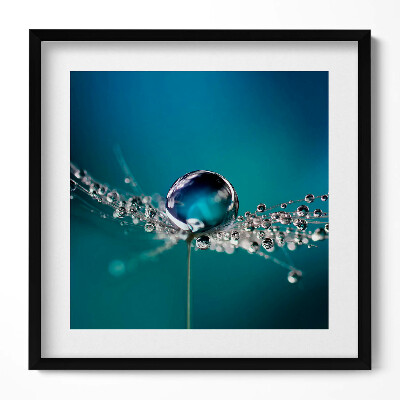 Keretezett falikép Vízcsepp és háló