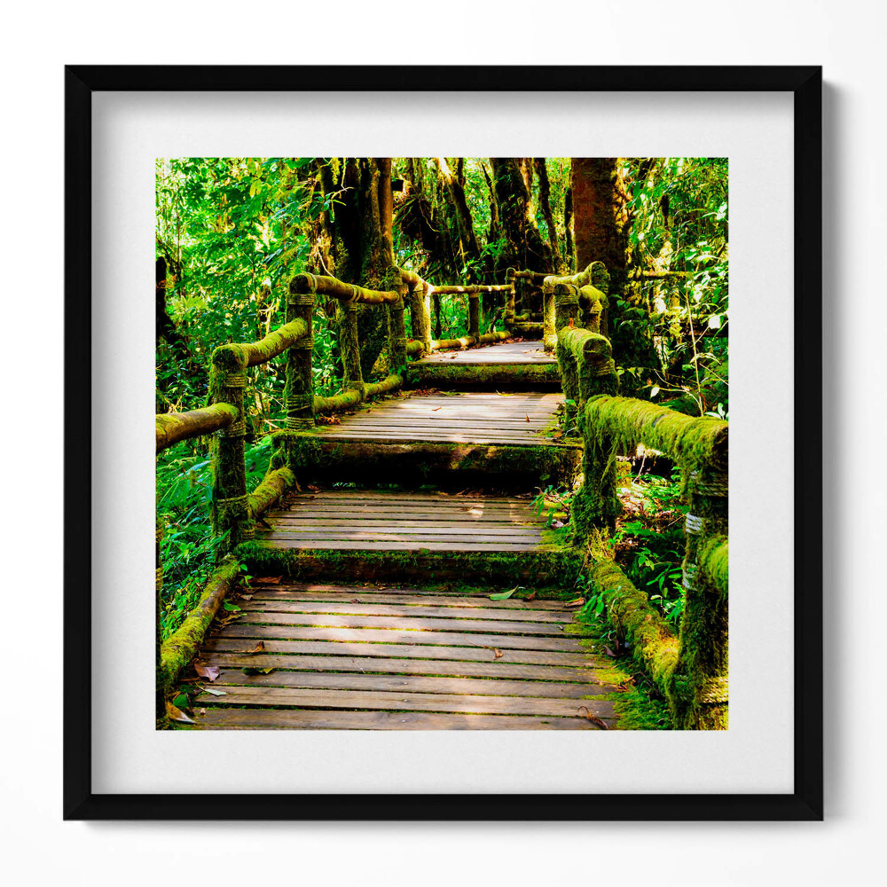 Keretezett falikép Zöld erdei ösvény