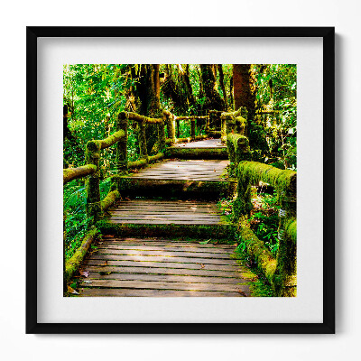 Keretezett falikép Zöld erdei ösvény