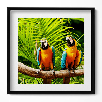 Keretezett falikép Két színes papagáj zöld háttér előtt
