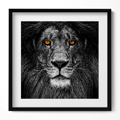 Keretezett falikép Fekete-fehér oroszlánportré