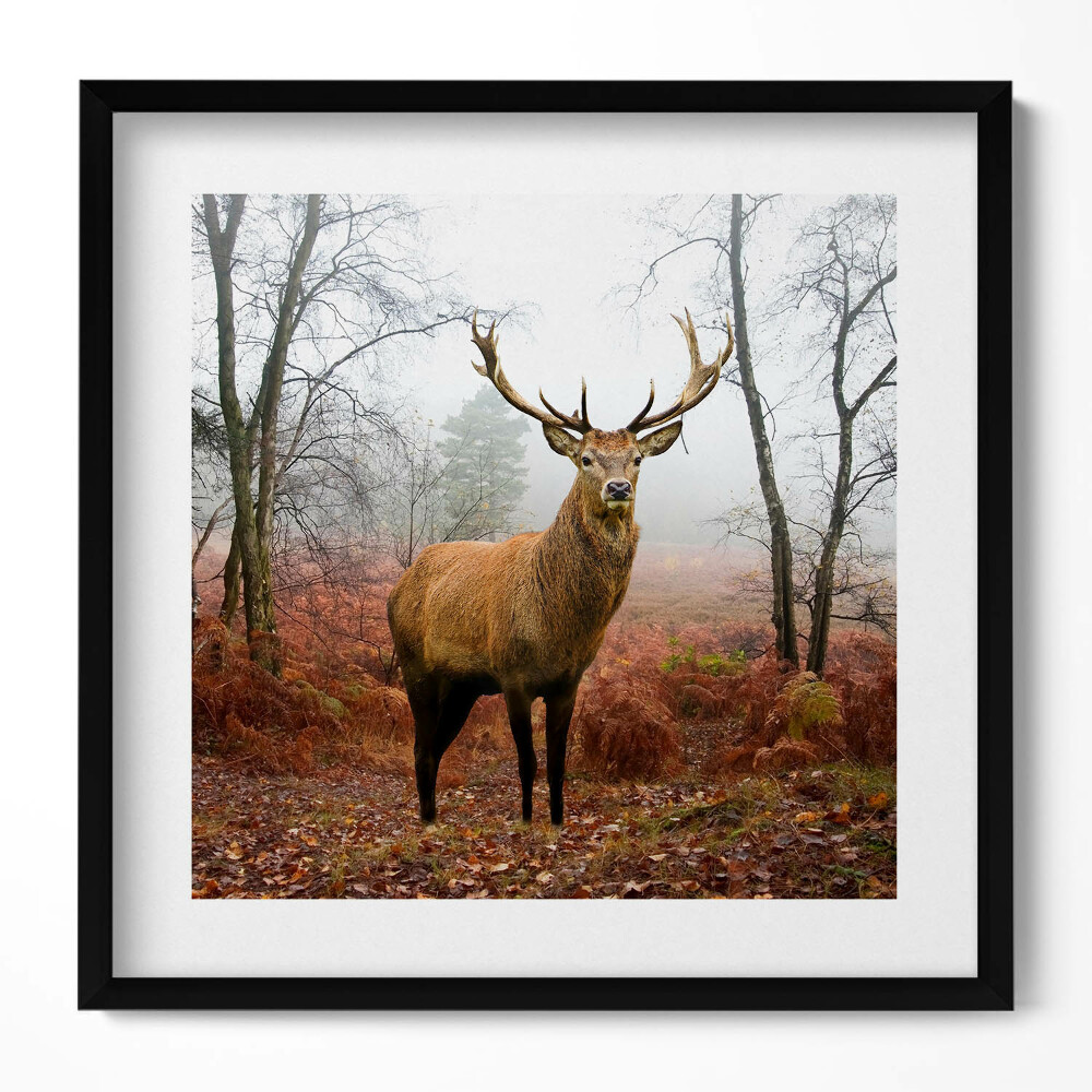 Keretezett falikép Szarvas ködös erdőben