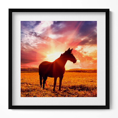 Keretezett falikép Fekete ló naplementében
