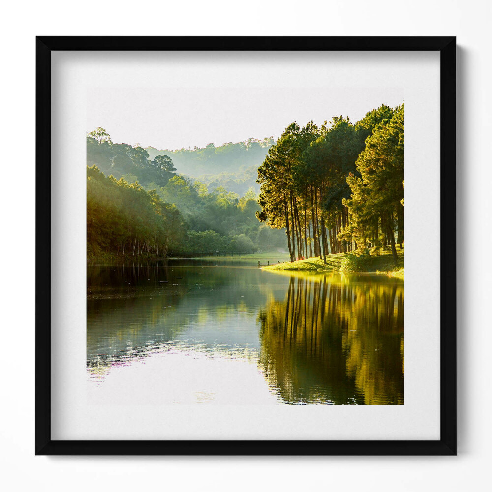 Keretezett falikép Zöld erdő tükörsima víz
