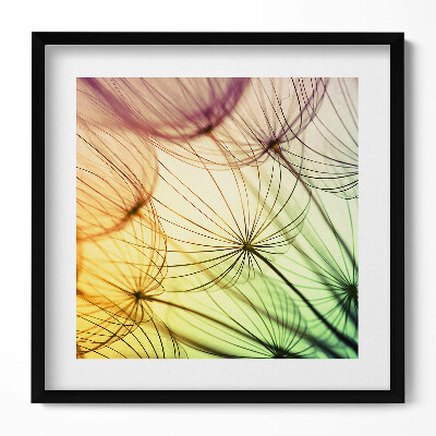 Keretezett falikép Absztrakt virágmotívum