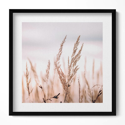 Keretezett falikép Fűszálak szélben lágy háttérrel
