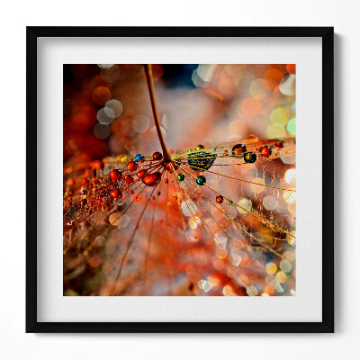 Keretezett falikép Vizes cseppekkel díszített növényi levél