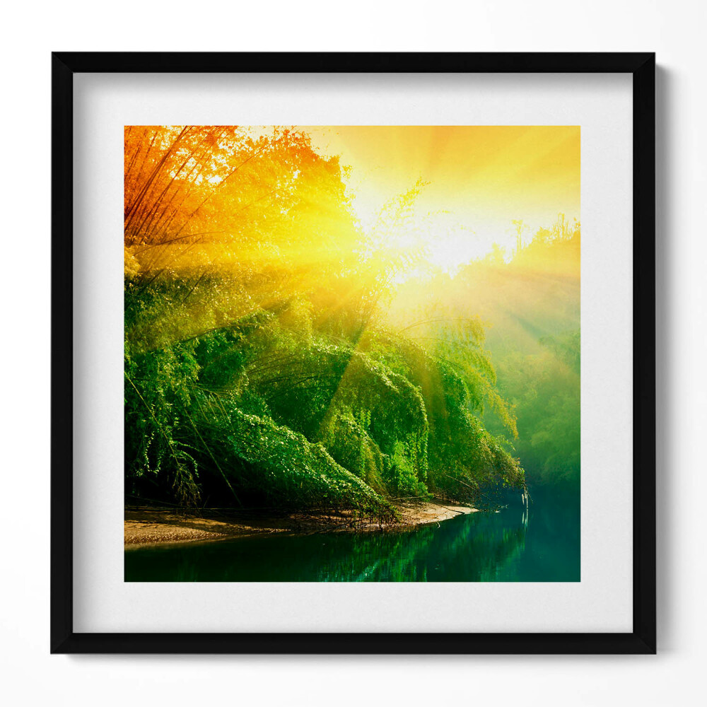 Keretezett falikép Napfényes erdei táj