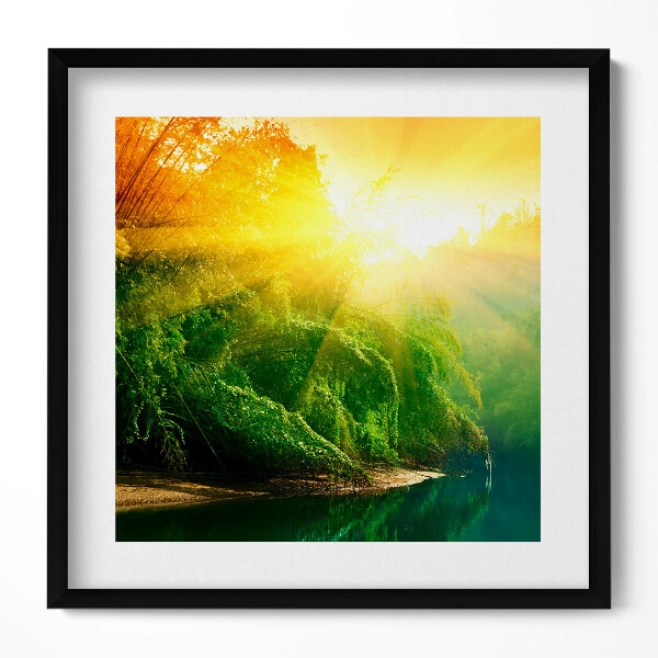 Keretezett falikép Napfényes erdei táj