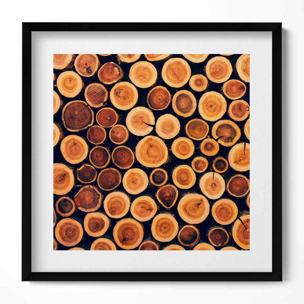 Keretezett falikép Fakitermékek keresztmetszete